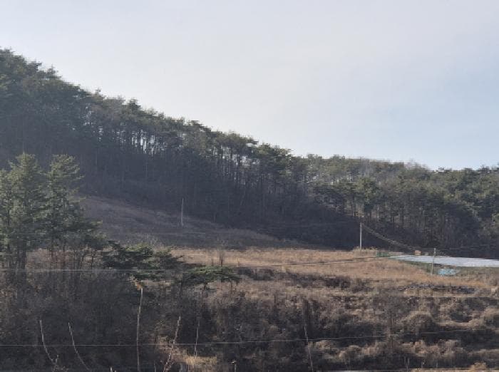 경상북도 영덕군 지품면 원전리 374 외 4 필지