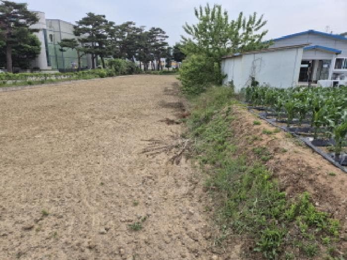 경상북도 울진군 북면 부구리 855-4