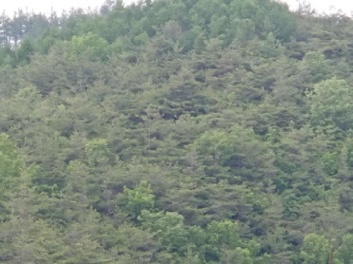 경상북도 울진군 평해읍 평해리 1253