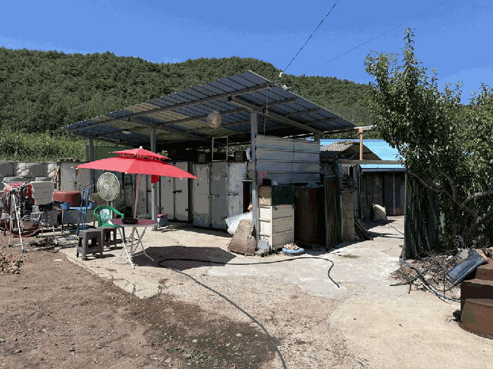 경상북도 영양군 일월면 곡강리 134