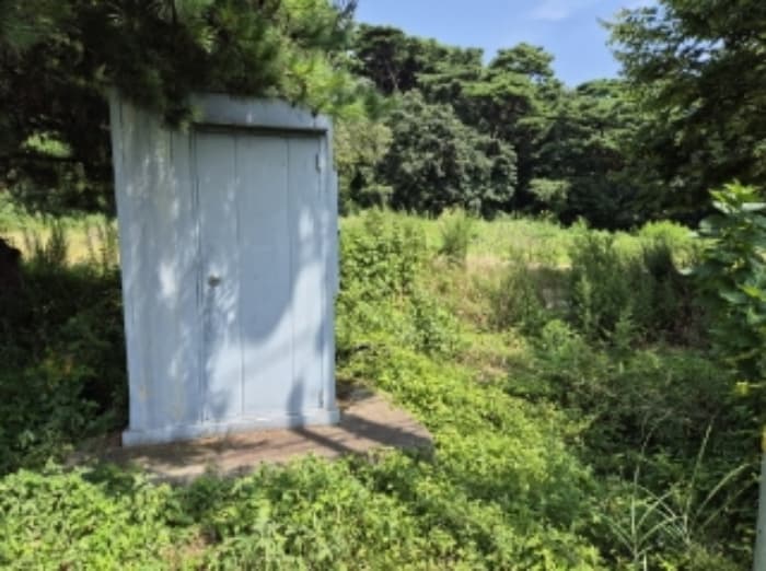 경상북도 포항시 북구 청하면 서정리 382