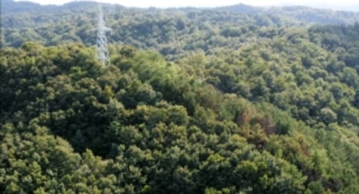 경상북도 포항시 북구 우현동 산121