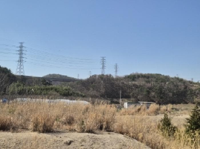 경상북도 포항시 남구 오천읍 문덕리 산156-36 외 3 필지