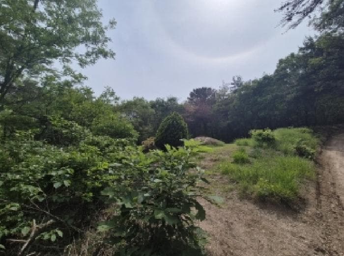 경상북도 포항시 남구 오천읍 원리 산36-27