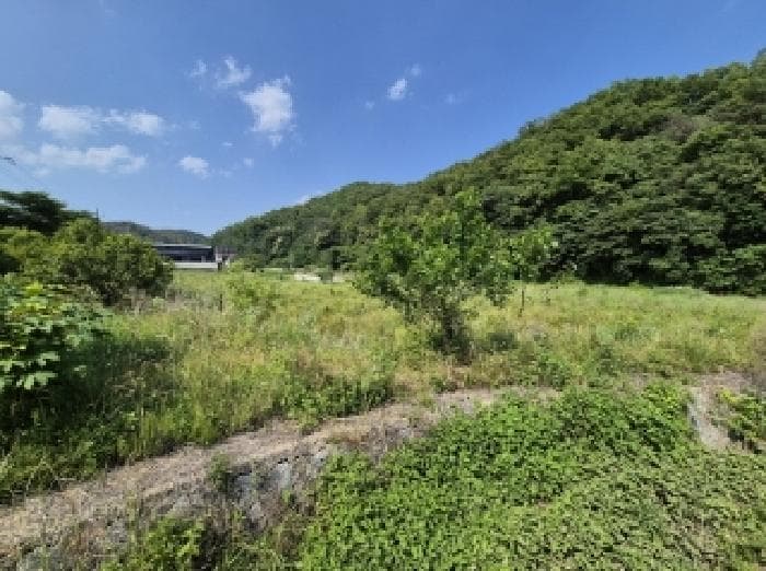 경상북도 포항시 남구 동해면 상정리 346