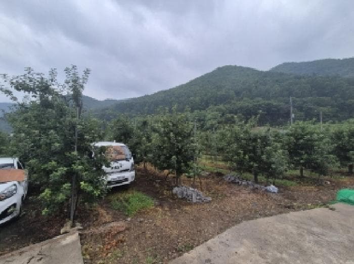 경상북도 포항시 북구 죽장면 석계리 233