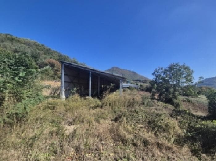 경상북도 포항시 북구 죽장면 두마리 678 1동 외 1개 동