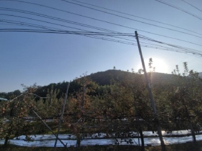 경상북도 포항시 북구 기계면 가안리 565 외 1 필지