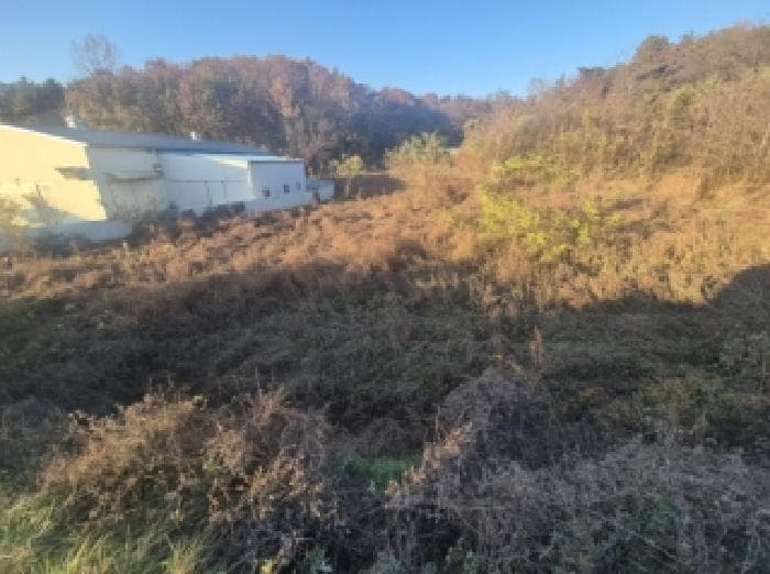 경상북도 포항시 북구 기북면 대곡리 1408-1 외 1 필지