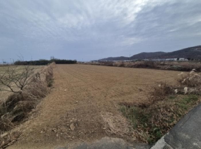경상북도 포항시 남구 호미곶면 강사리 749-2