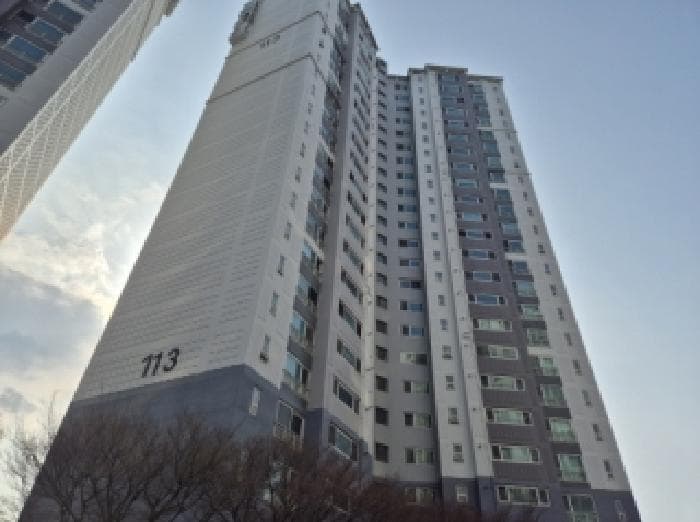 경상북도 포항시 남구 효자동 566 포항효자웰빙타운에스케이뷰 113동 5층502호