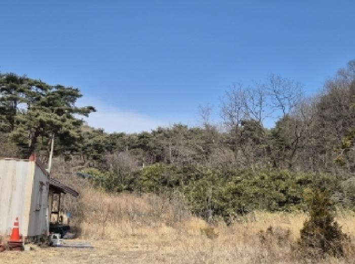 경상북도 포항시 남구 오천읍 문덕리 산156-2