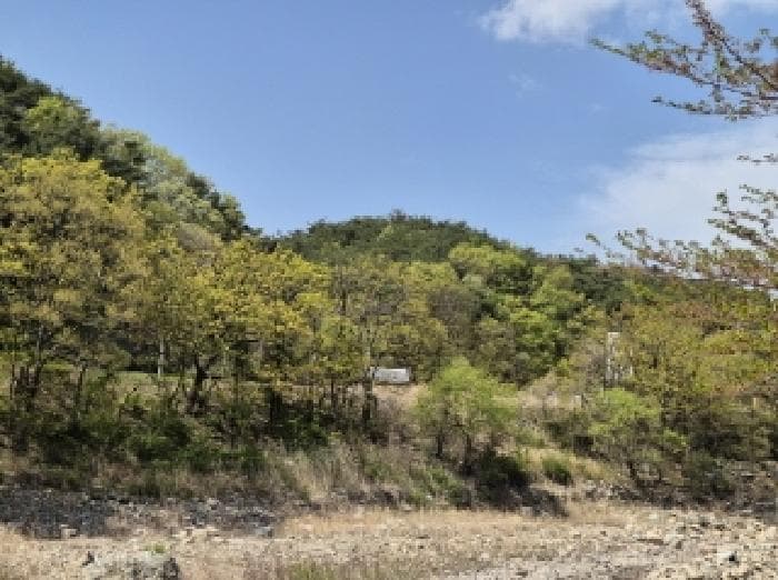 경상북도 포항시 남구 오천읍 문덕리 산159-1