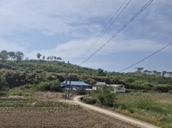 경상북도 포항시 남구 대송면 대각리 산66-4