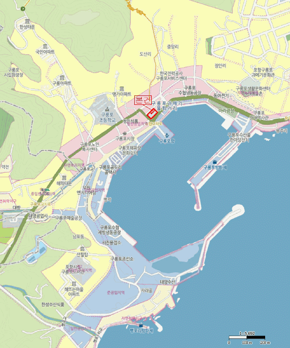 경상북도 포항시 남구 구룡포읍 구룡포리 962-1 구룡포여의주타워 가동 2층203호
