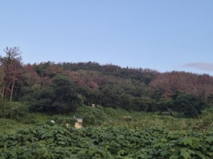 경상북도 포항시 남구 동해면 임곡리 산16-1