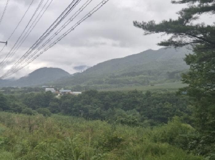 경상북도 포항시 북구 죽장면 상옥리 산224 외 4 필지