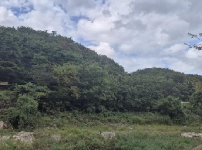 경상북도 포항시 남구 대송면 대각리 산105-5