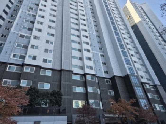 경상북도 포항시 북구 장성동 1608 현진에버빌아파트 205동 8층 808호