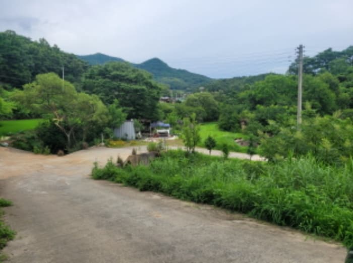 경상북도 성주군 월항면 지방리 319-1 외 1 필지