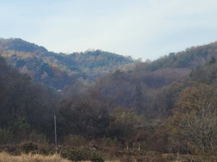경상북도 성주군 용암면 상언리 산47