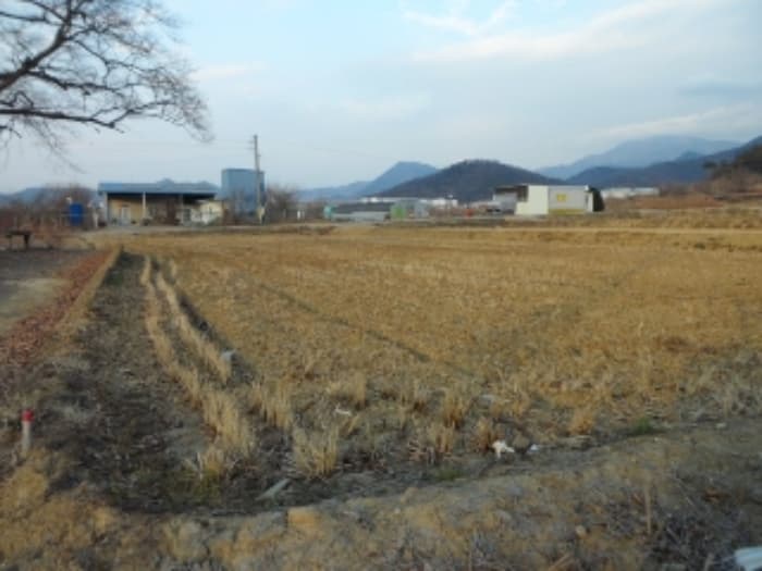대구광역시 달성군 유가읍 도의리 568 외 1 필지