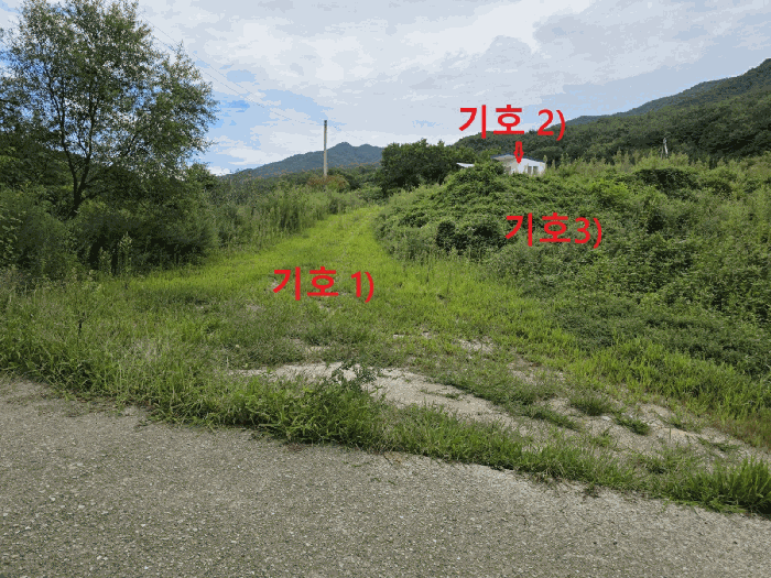 경상북도 성주군 초전면 월곡리 79 주1동 외 1 필지