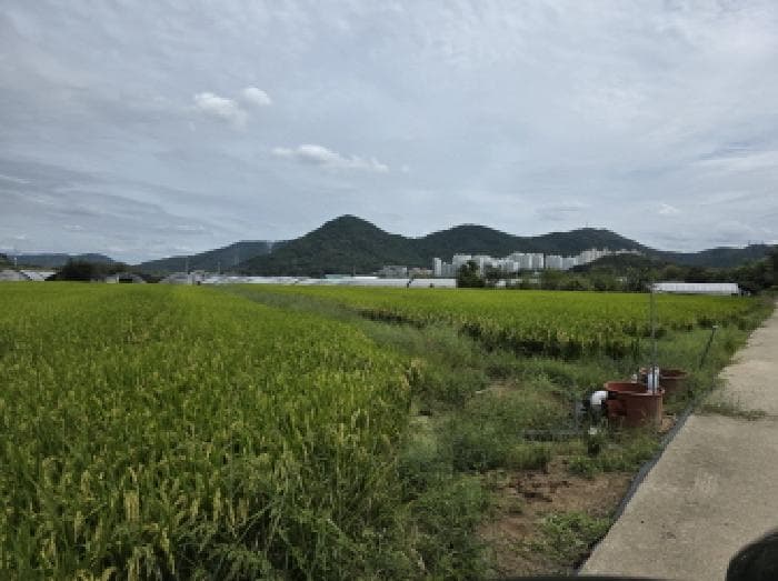 대구광역시 달성군 다사읍 박곡리 358