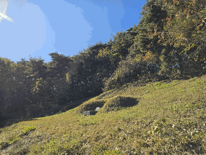 경상북도 성주군 월항면 지방리 산72-1