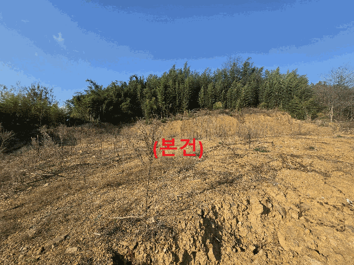 경상북도 성주군 용암면 기산리 397 외 1 필지