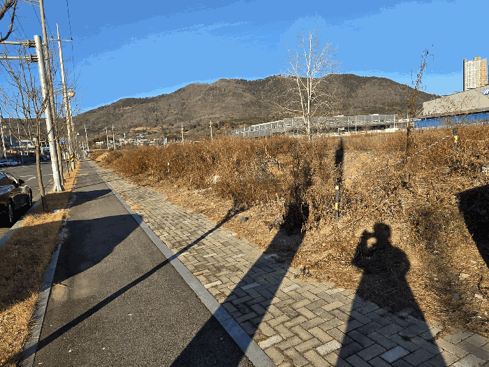 대구광역시 달성군 구지면 화산리 1110