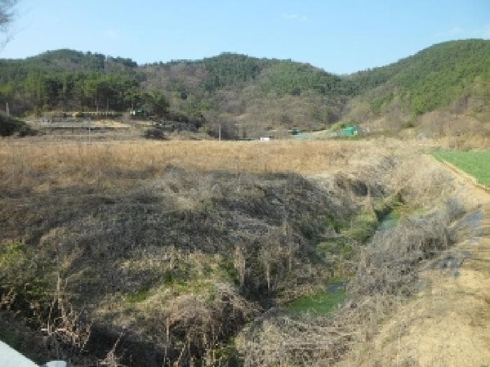 대구광역시 달성군 구지면 오설리 783 외 13 필지