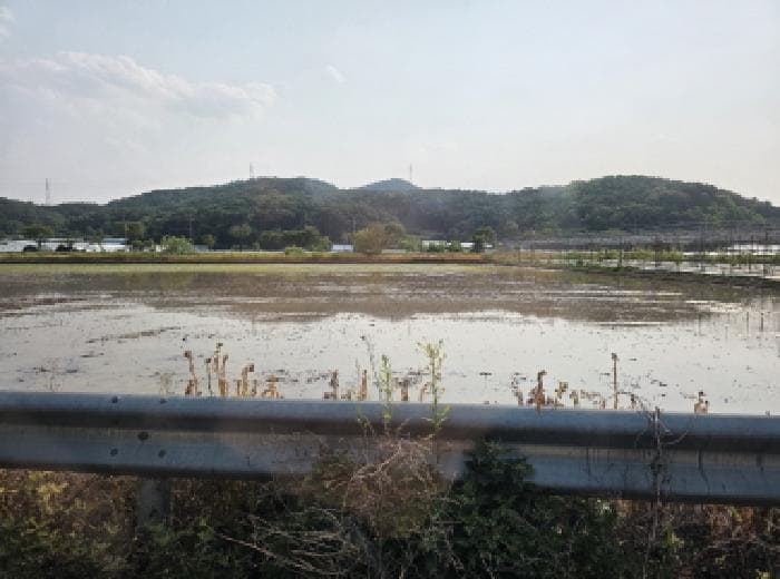 대구광역시 달성군 하빈면 기곡리 363