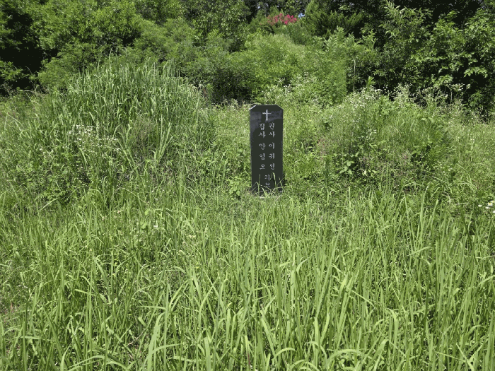 대구광역시 달성군 옥포읍 본리리 461-1