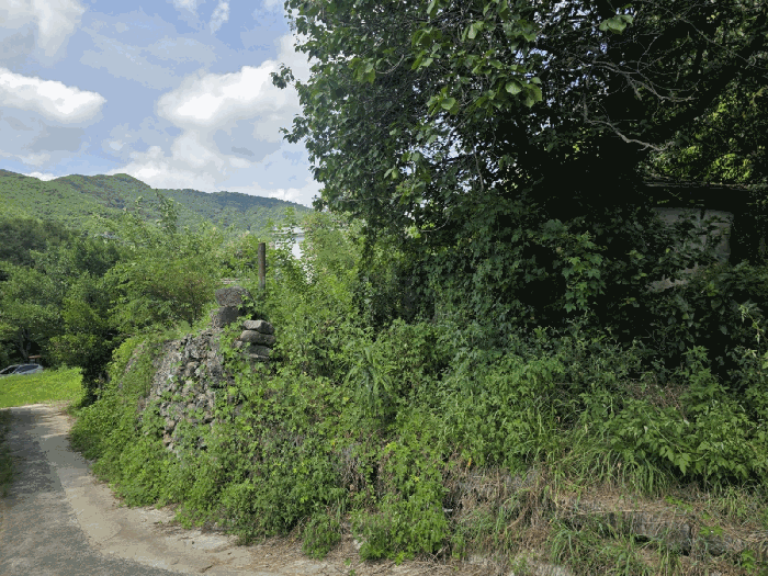 대구광역시 달성군 유가읍 양리 217-9 외 2 필지