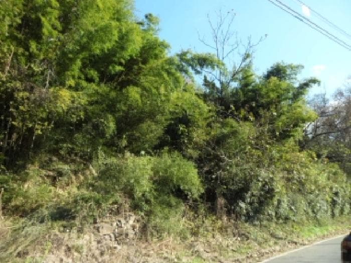 대구광역시 달성군 옥포읍 송촌리 37 외 1 필지