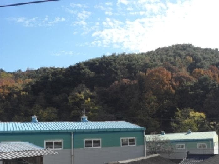 대구광역시 달성군 논공읍 남리 968-2