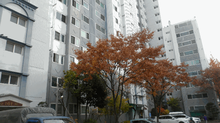 대구광역시 서구 비산동 315 한신휴플러스 아파트 101동 3층307호