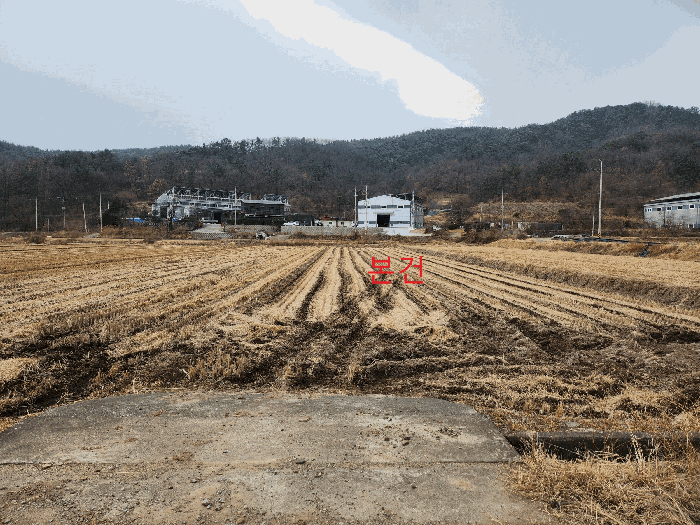경상북도 고령군 성산면 대흥리 310