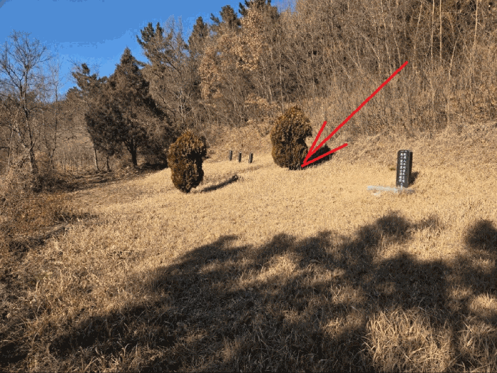 대구광역시 달성군 현풍읍 대리 1019