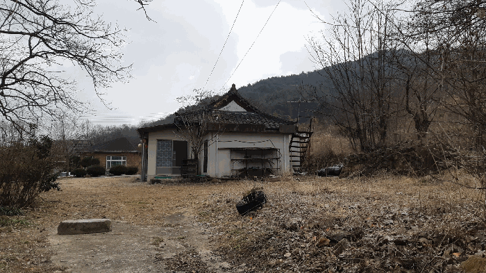 경상북도 성주군 금수강산면 광산리 978