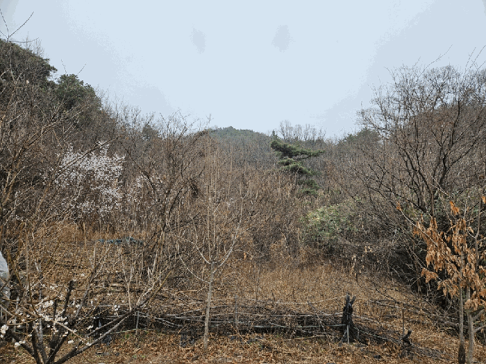 대구광역시 달성군 논공읍 삼리리 730