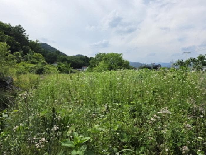 경상북도 성주군 수륜면 수성리 산22 외 5 필지