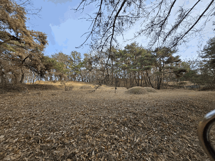 경상북도 성주군 선남면 도성리 산113