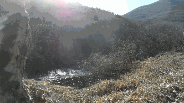 경상북도 고령군 성산면 상용리 542