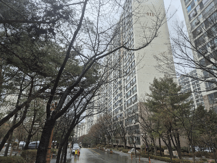 대구광역시 달서구 도원동 1443 대곡강산타운  제411동 제2층 제203호