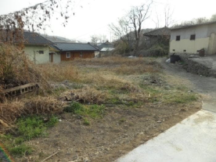 대구광역시 달성군 구지면 대암리 226