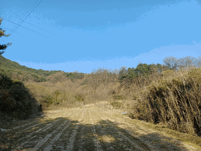 경상북도 성주군 벽진면 자산리 437