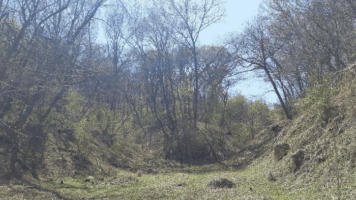 경상북도 성주군 성주읍 성산리 418-1