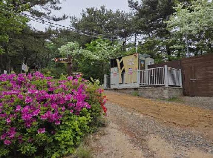 부산광역시 부산진구 초읍동 산129